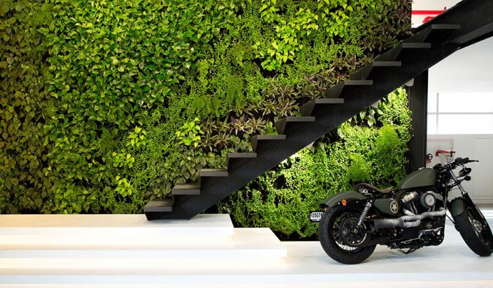 Injecting Life into Corporate Interiors  Light Space Design’s Plant Wall by Planters Horticulture