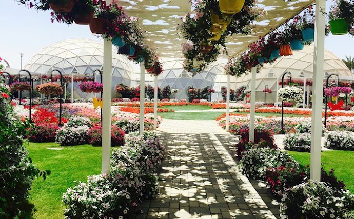Dubai Garden Centre Solution For Plants´ Lovers
